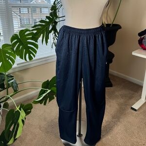 Nike Joggers (Blue And Gray)